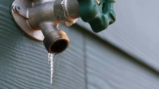 Best Clogged Drain Plumber  in Parkwood, WA